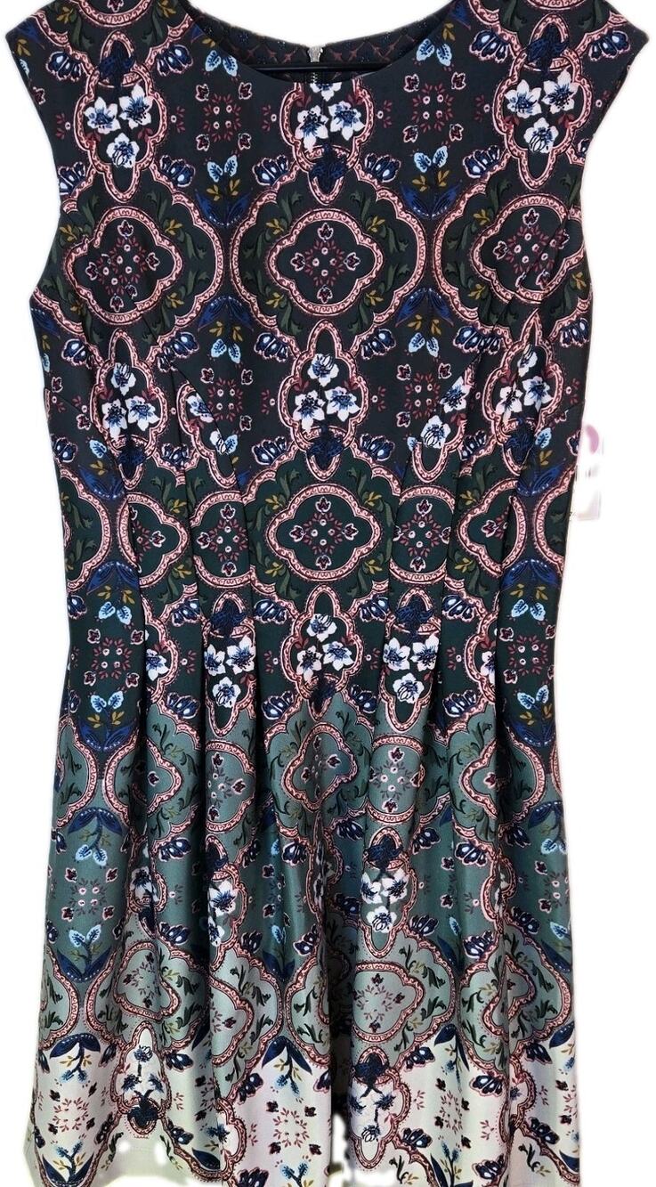 Danny & Nicole Floral Sleeveless Fit & Flare Dress Sz 10 Cottage Coquette NWT